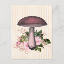 Search for vintage mushrooms postcards Nature