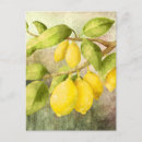 Search for lemons postcards Green