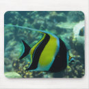 Search for fins mouse mats Fish