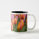 Search for keukenhof mugs Destination