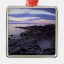 Search for argyle christmas tree decorations Blue