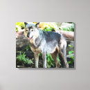 Search for alone canvas prints Wildlife