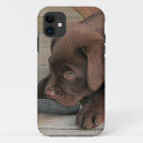 Search for chocolate labrador iphone cases Puppy