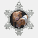 Search for pork christmas tree decorations Farm