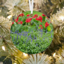 Search for scenic christmas tree decorations Nature