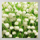 Search for lily of the valley art Floral