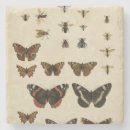 Search for insects coasters Animals