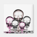 Search for xrays magnets Skeleton