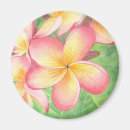 Search for plumeria magnets Frangipani