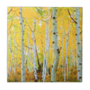 Search for fall colour tiles America