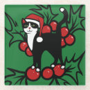 Search for tuxedo cat coasters Cats