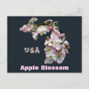 Search for apple blossoms postcards Pink