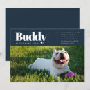 Search for puppy dog invitations Blue