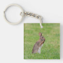 Search for easter rabbit key rings Brown