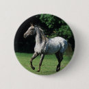 Search for appaloosas badges Horse