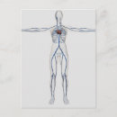 Search for sinus postcards Cutout