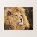Search for big cat puzzles Photograph