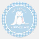 Search for blue and white rabbit stickers For kids