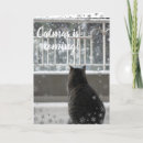 Search for cute kitten christmas cards White