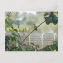 Search for little things postcards Green