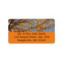 Search for maples labels Orange