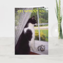 Search for hurry cards Cat