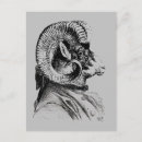 Search for bighorn sheep postcards Animals