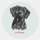 Search for lab stickers Cute dog