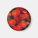 Search for digitally magnets Pattern