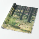 Search for sunlight wrapping paper Autumn