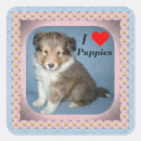 Search for shetland sheepdog stickers Puppy