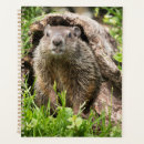 Search for hogs office supplies Nature