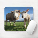 Search for lambs mouse mats Wool