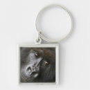 Search for mountain gorilla key rings Africa
