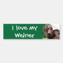 Search for weiner bumper stickers Dachshund