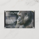 Search for primate business cards Animal