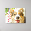 Search for cute corgi art Queen elizabeth's