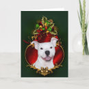 Search for pitbull christmas cards Xmas