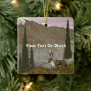 Search for british columbia christmas tree decorations Nature