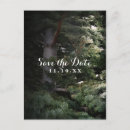 Search for pine tree save the dates Engagement
