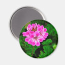 Search for photography wedding favours Garden