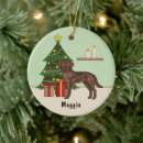 Search for labrador christmas tree decorations Festive