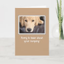 Search for golden retriever get well cards Sad
