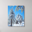 Search for frank canvas prints Danita delimont