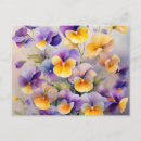 Search for pansy flower postcards Pastel