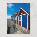 Search for huts postcards Seashell
