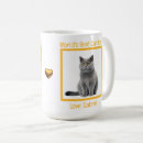 Search for worlds best cat mom mugs Kitten