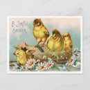 Search for vintage easter chicks postcards Egg