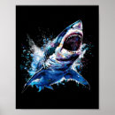 Search for sharks posters Summer