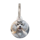 Search for poodle White